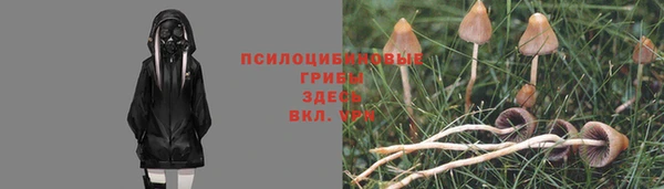 скорость Алзамай