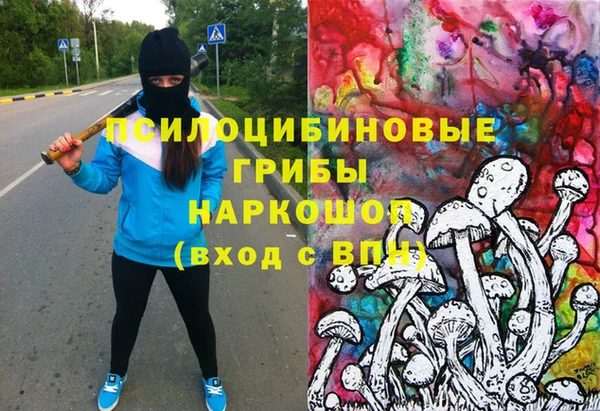 скорость Алзамай