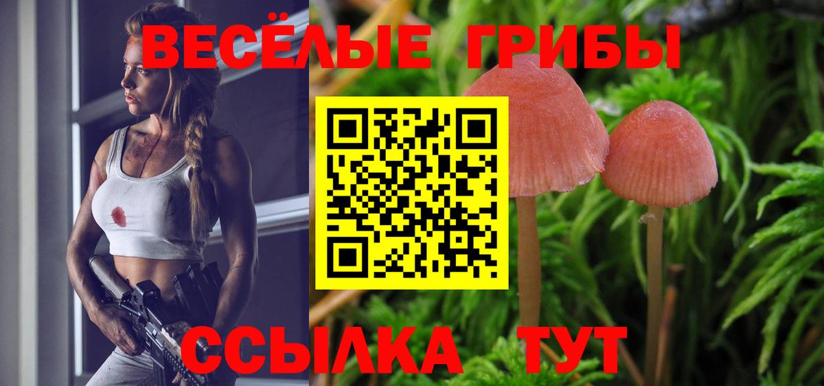 Галлюциногенные грибы MAGIC MUSHROOMS Шатура