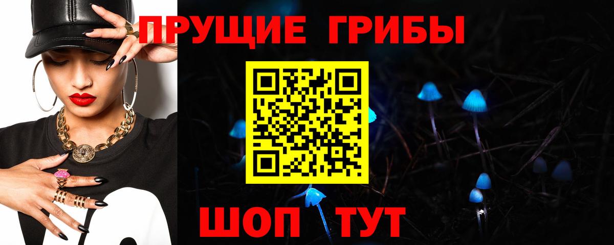 Псилоцибиновые грибы мицелий  Вход с VPN  Шатура 